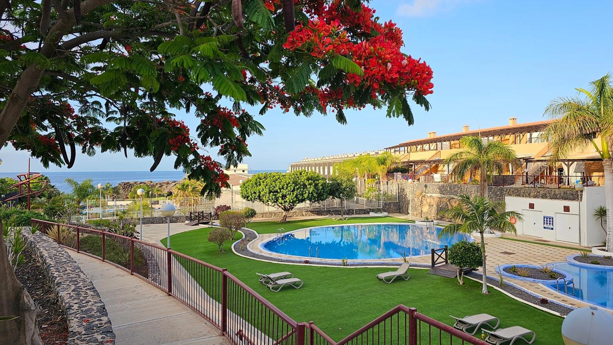 Ocean Breeze Retreat Διαμέρισμα Σαν Μιγκέλ ντε Αμπόνα Εξωτερικό φωτογραφία